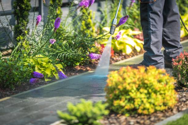 Best Pre-Holiday Cleaning  in Rose Lodge, OR